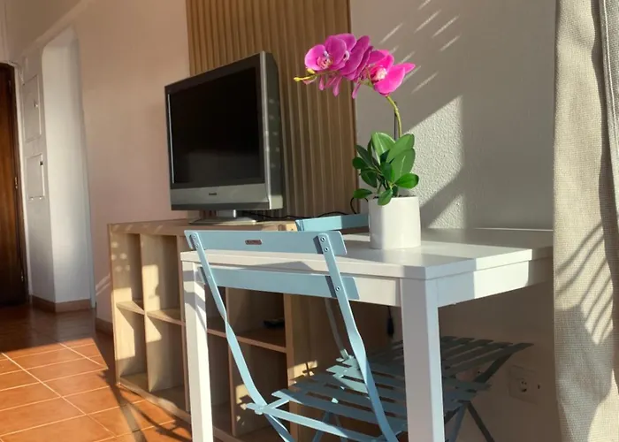 Espectacular En Primera Linea De Playa コスタ・ダ・カパリカ